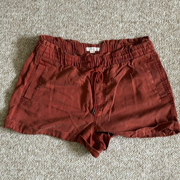 LOFT Pants - Loft Shorts size L